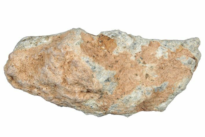 Lunar Meteorite Fragment ( g) - NWA #304077